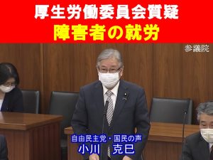 障害者の就労について～厚生労働委員会質疑～